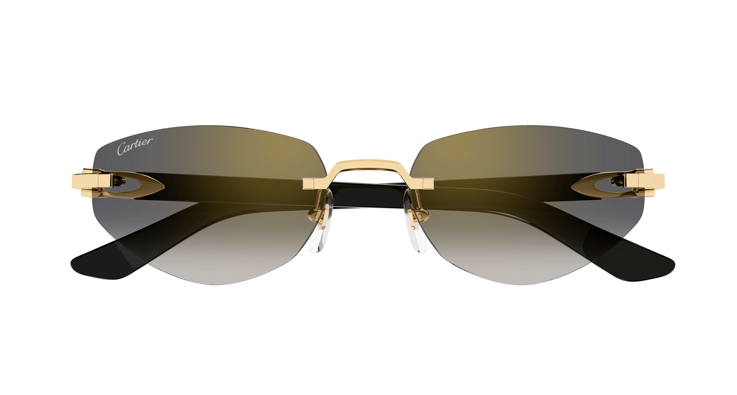 Cartier CT0580S